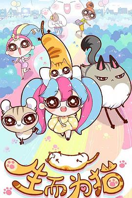 常州专业seo优化排名报价